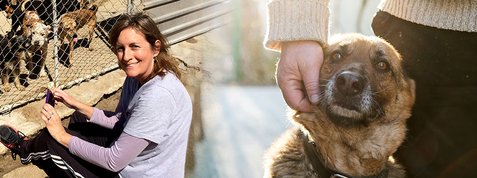 Pet rescue